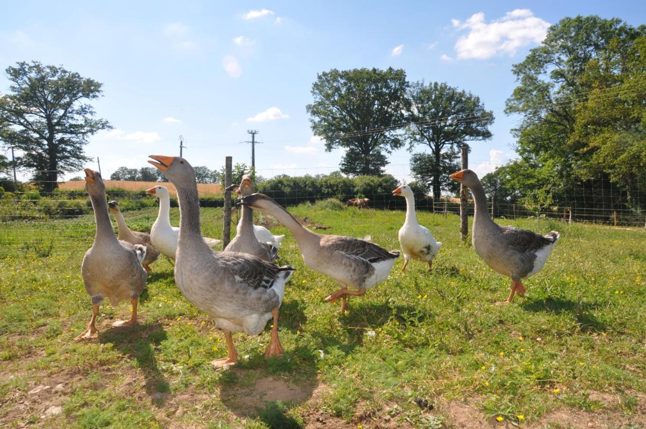 La Ferme Aux Cinq Sens Villa Bussiere-Boffy Esterno foto