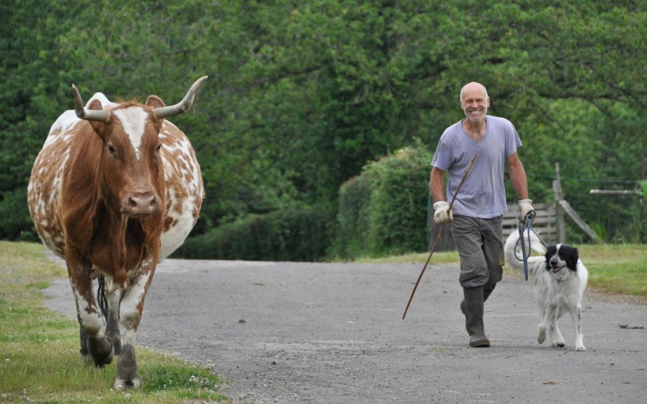 La Ferme Aux Cinq Sens Villa Bussiere-Boffy Esterno foto