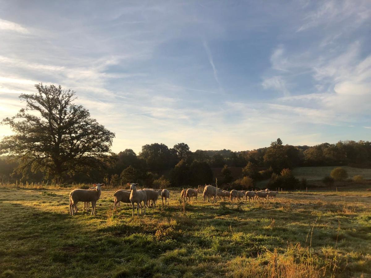 La Ferme Aux Cinq Sens Villa Bussiere-Boffy Esterno foto